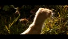 La bande annonce du film Le Renard et l'enfant