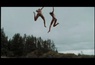 La bande annonce 1 VOST du film Les Intrus