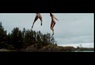 La bande annonce du film Les Intrus