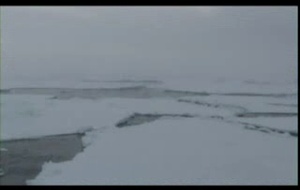 Les Hommes  La bande annonce du film Les Hommes