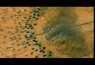 La bande annonce du film Volt, star malgré lui