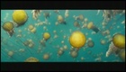 Bande annonce 1
