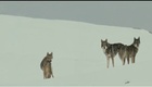 Bande annonce 1