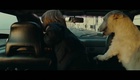 Teaser 1