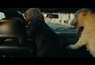 Teaser 1