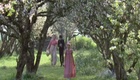 Bande annonce 1 VOST